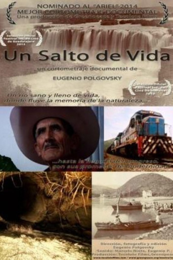 A Leap of Life poster