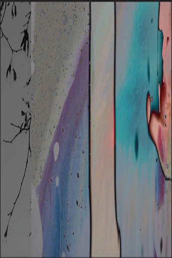 "An Extra Wander: For Chick..." poster