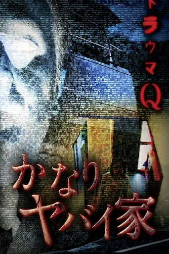 Trauma Q: Pretty Dangerous House poster