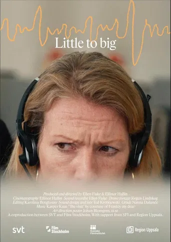 Little to Big poster