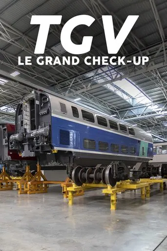 TGV : Le Grand Check-up poster