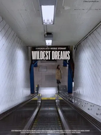 Wildest Dreams poster