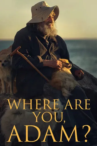 Where are you, Adam? poster