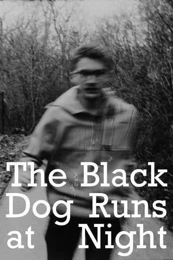 The Black Dog Runs At Night poster