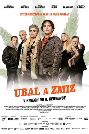 Ubal a zmiz poster