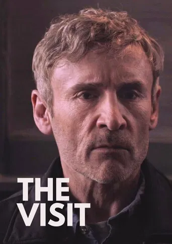The Visit poster