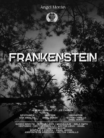 Frankenstein The Creature poster