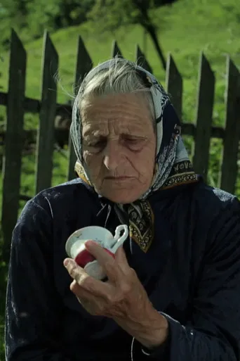 Time, Weather, Season, Spell, Tense, Epoch poster