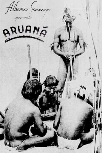 Aruanã poster