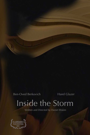 Inside the Storm poster
