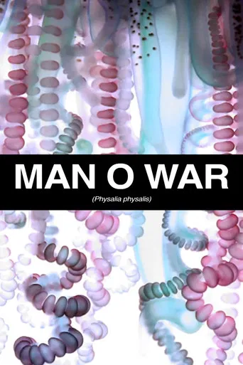 Man O War poster