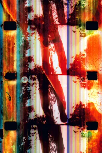 Nirvana Alchemy Film poster