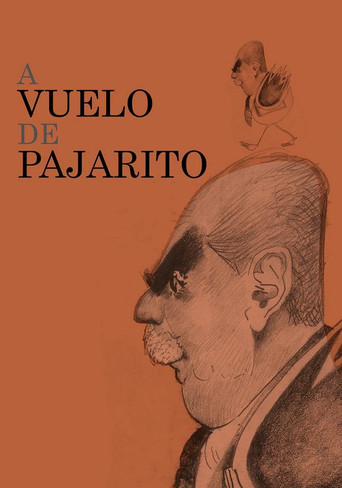 A vuelo de pajarito poster