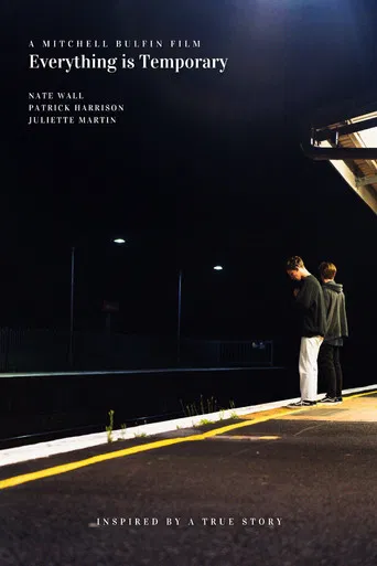 Everything is Temporary poster