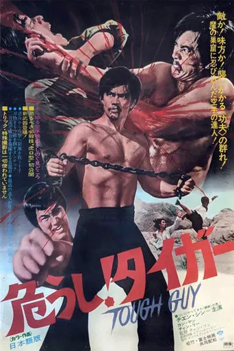 Revenge of the Dragon poster