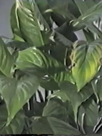 Table in September, or Part of an Incident poster