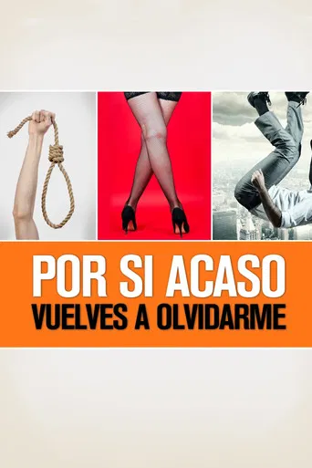 In Case You Forget About Me Again poster