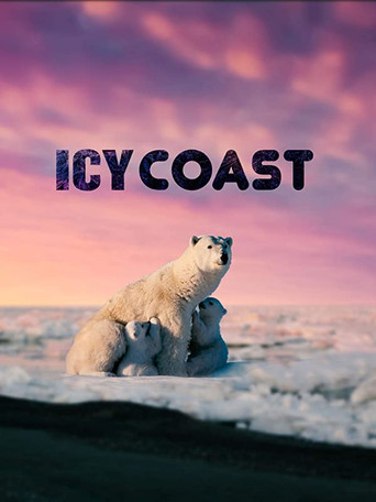 Icy Coasts poster