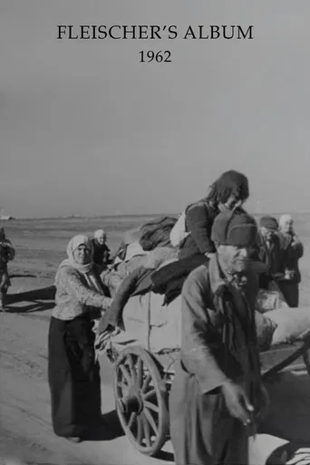 Fleischer's Album poster