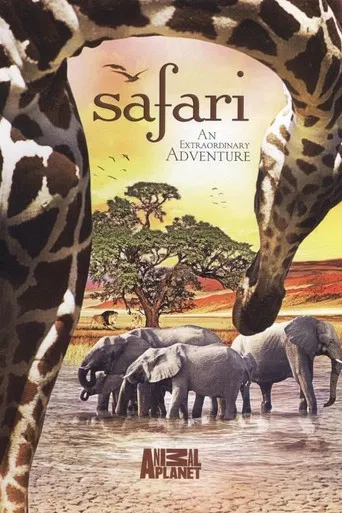 The Last Lion of Liuwa poster