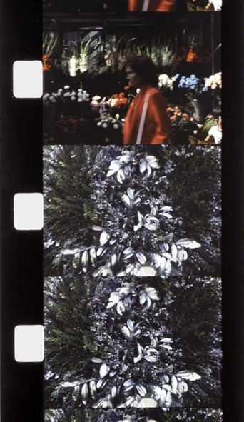 Chutes de Foire du Trône poster