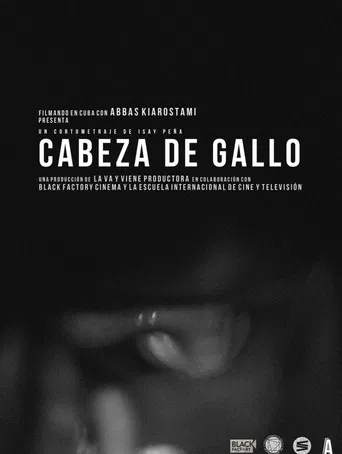 Cabeza de gallo poster