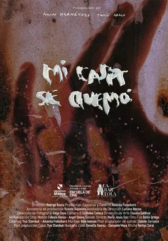 My House got Burned poster