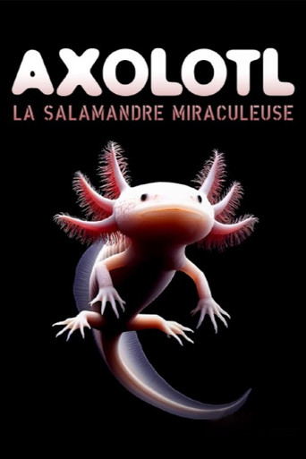 Axolotl, la salamandre miraculeuse poster