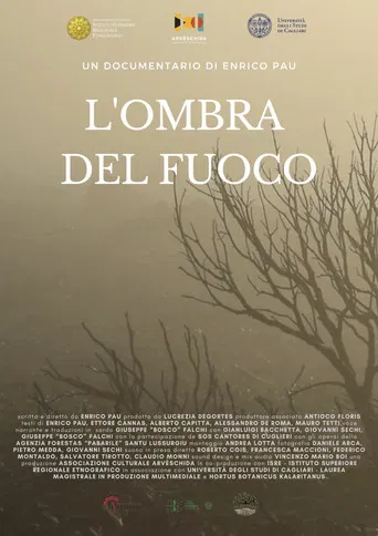 L'ombra del fuoco poster