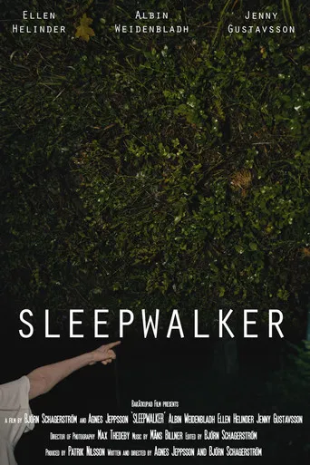 Sleepwalker poster