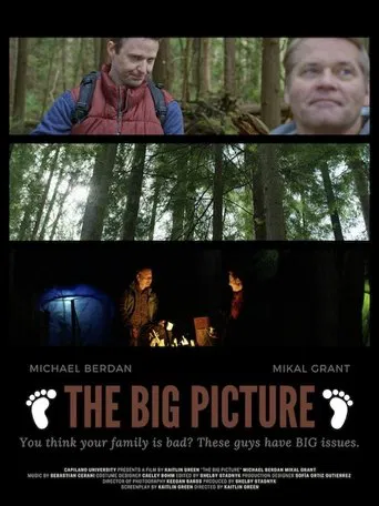 The Big Picture poster
