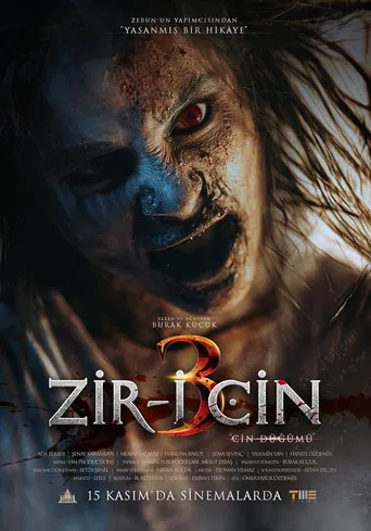 Zir-i Cin 3 poster