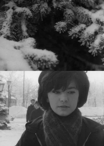 Terrasz mínusz tíz fok poster