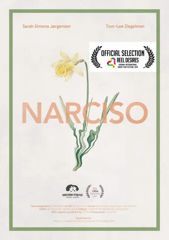 Narciso poster