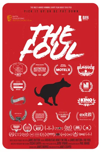 The Foul poster