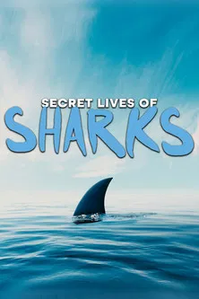 The Secret Lives of Sharks poster
