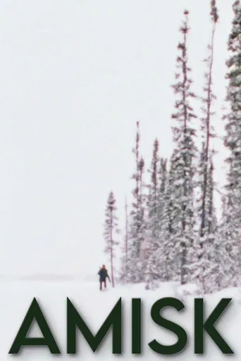 Amisk poster