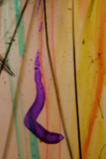 Visions From My Scalp poster