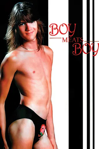 Boy Meats Boy poster