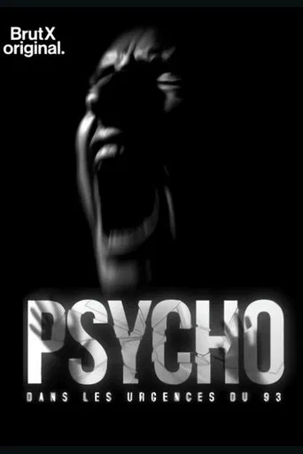 Psycho : dans les urgences du 93 poster