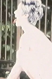 The reason why I do not eat meat I poster