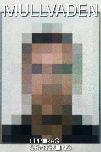 Uppdrag granskning - Mullvaden poster