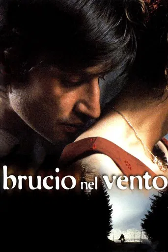 Brucio nel vento poster