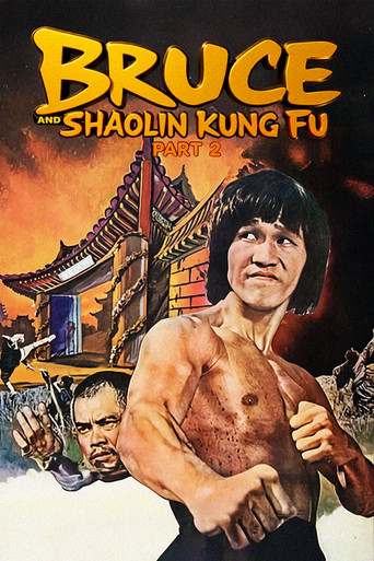 Bruce and Shaolin Kung Fu Part 2 poster