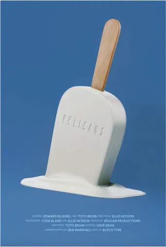 Pelicans poster