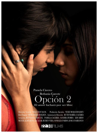 Opción 2 poster