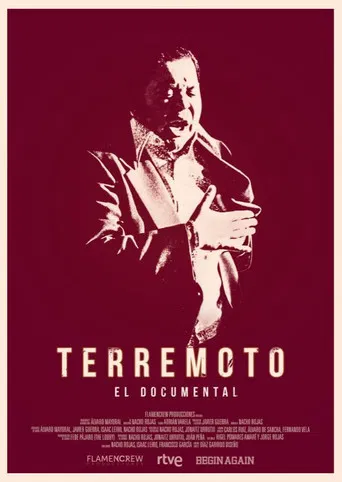 Terremoto: El documental poster