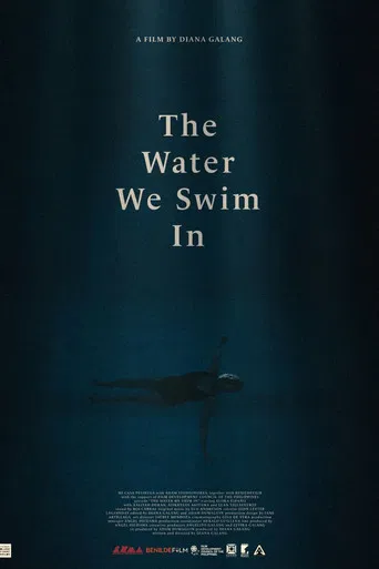 The Water We Swim In poster