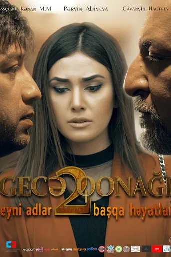 Night Guest 2 poster