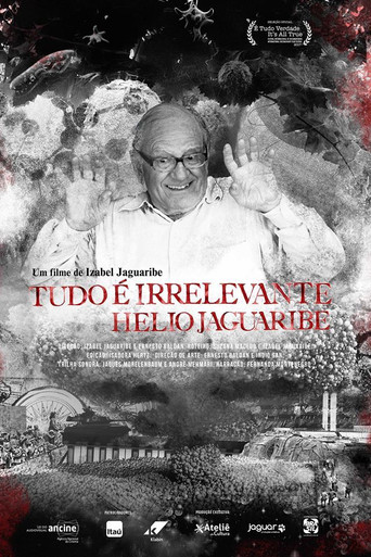 Tudo é Irrelevante. Hélio Jaguaribe poster